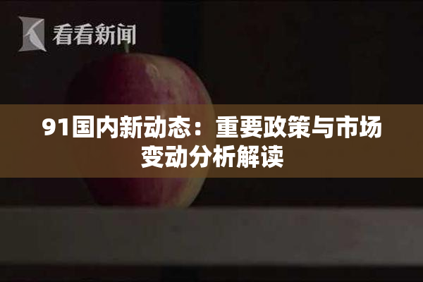 91国内新动态：重要政策与市场变动分析解读