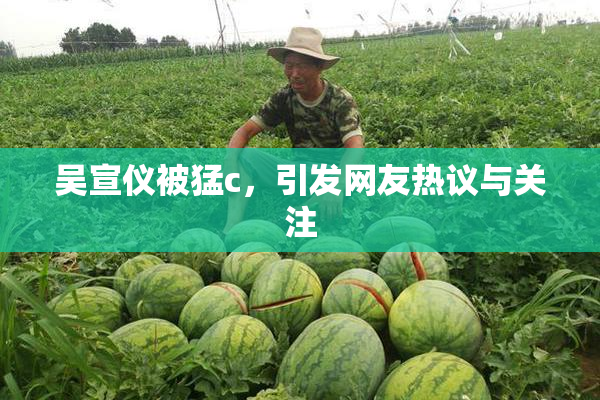 吴宣仪被猛c，引发网友热议与关注