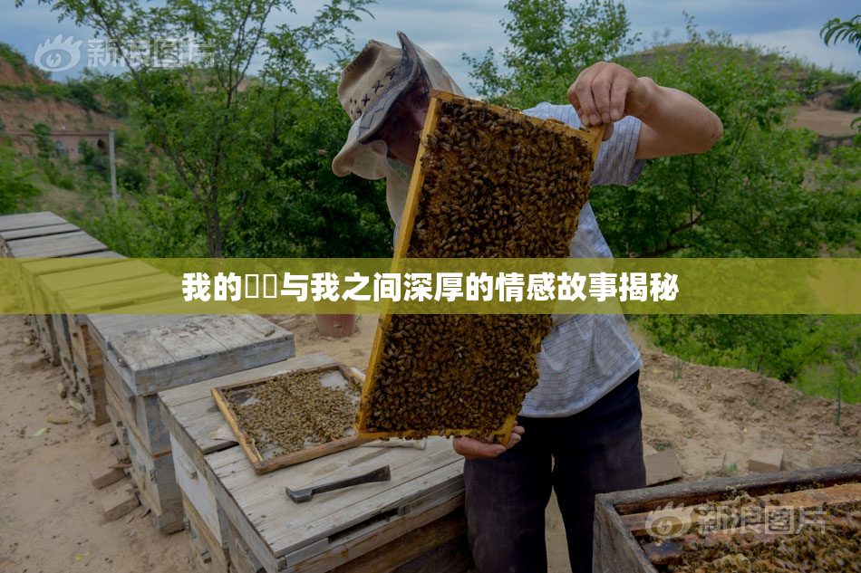 我的妺妺与我之间深厚的情感故事揭秘