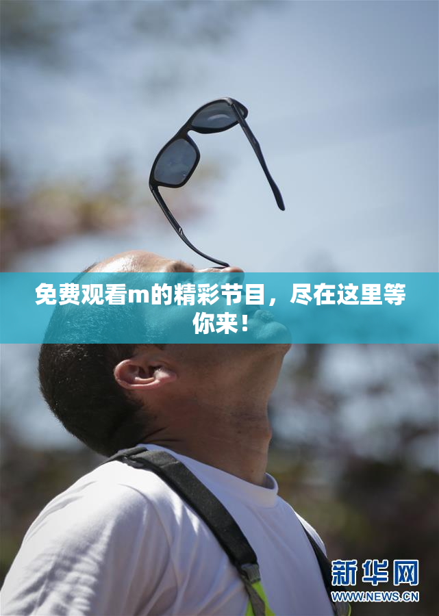 免费观看m的精彩节目，尽在这里等你来！
