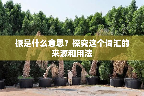 撅是什么意思？探究这个词汇的来源和用法