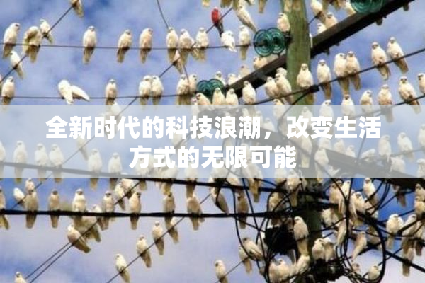 全新时代的科技浪潮，改变生活方式的无限可能