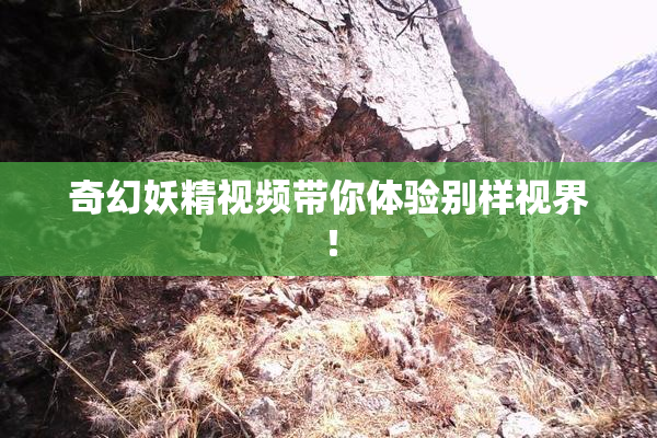 奇幻妖精视频带你体验别样视界！
