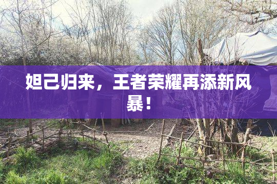 妲己归来，王者荣耀再添新风暴！