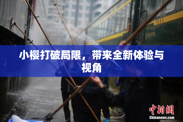 小樱打破局限，带来全新体验与视角