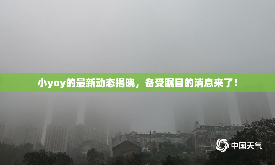 小yoy的最新动态揭晓，备受瞩目的消息来了！