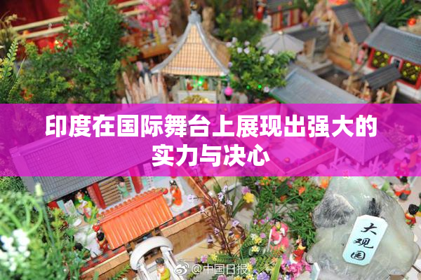 印度在国际舞台上展现出强大的实力与决心