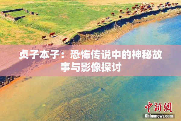 贞子本子：恐怖传说中的神秘故事与影像探讨