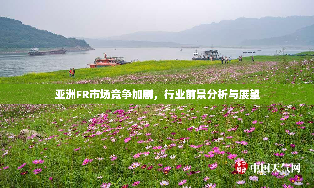 亚洲FR市场竞争加剧，行业前景分析与展望