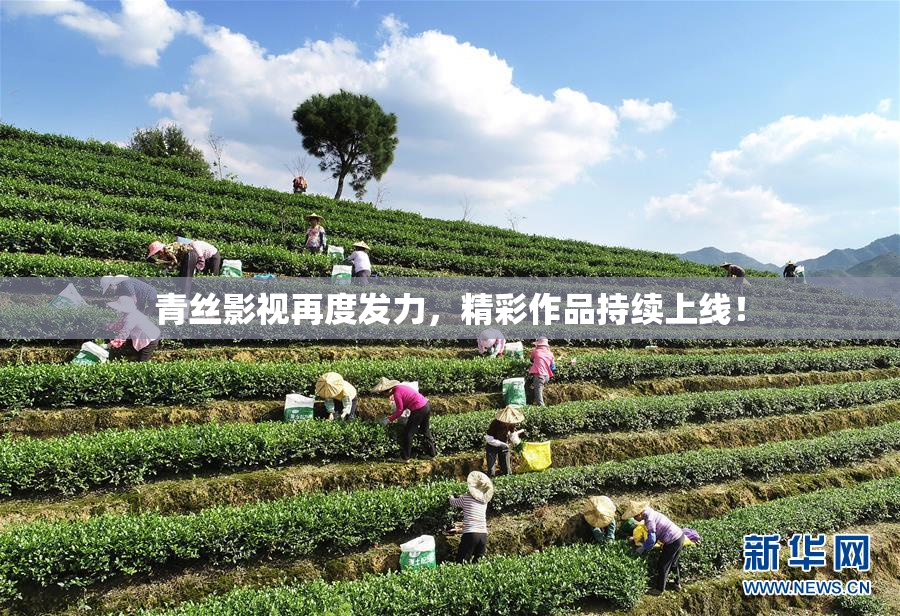 青丝影视再度发力，精彩作品持续上线！