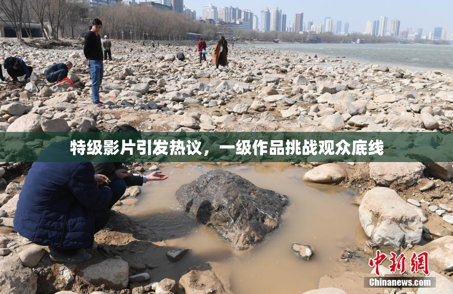 特级影片引发热议，一级作品挑战观众底线