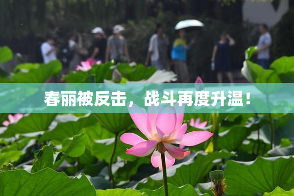 春丽被反击，战斗再度升温！