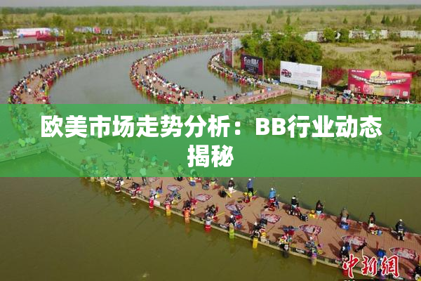 欧美市场走势分析：BB行业动态揭秘