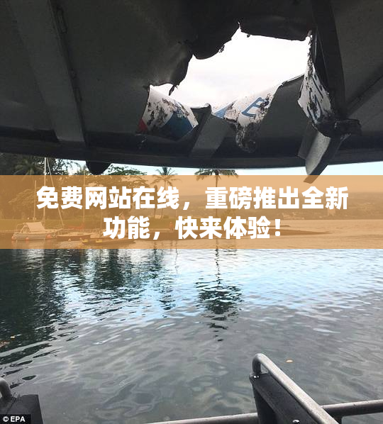 免费网站在线，重磅推出全新功能，快来体验！