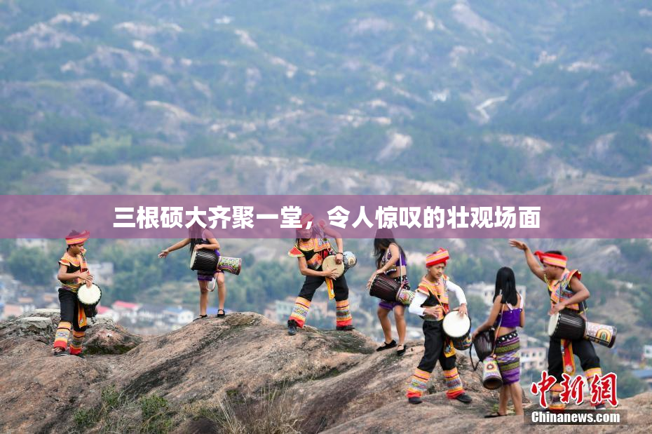 三根硕大齐聚一堂，令人惊叹的壮观场面