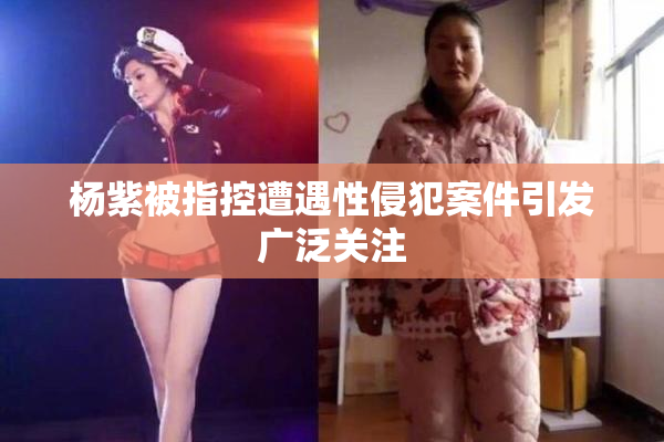 杨紫被指控遭遇性侵犯案件引发广泛关注