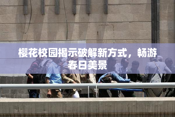 樱花校园揭示破解新方式，畅游春日美景