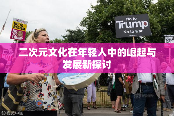 二次元文化在年轻人中的崛起与发展新探讨