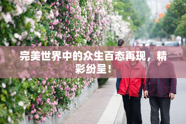 完美世界中的众生百态再现，精彩纷呈！
