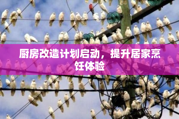 厨房改造计划启动，提升居家烹饪体验