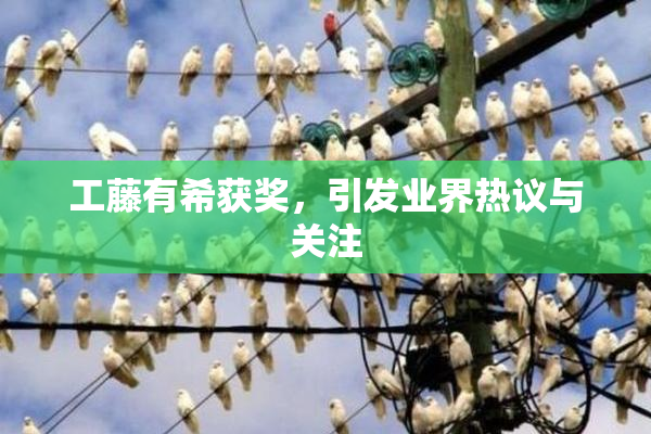 工藤有希获奖，引发业界热议与关注