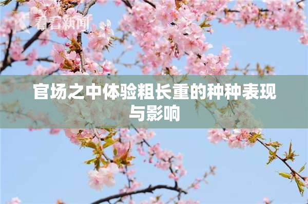 官场之中体验粗长重的种种表现与影响