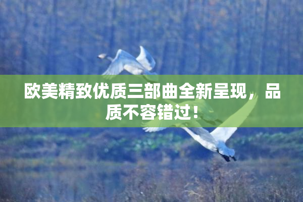 欧美精致优质三部曲全新呈现，品质不容错过！