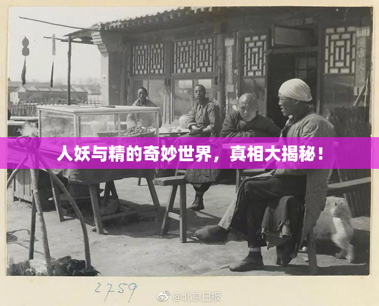 人妖与精的奇妙世界，真相大揭秘！