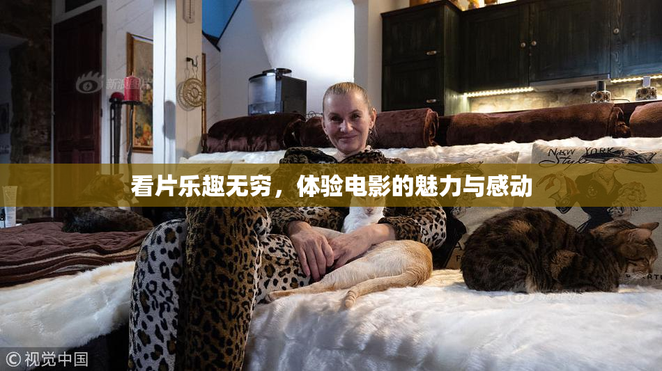 看片乐趣无穷，体验电影的魅力与感动