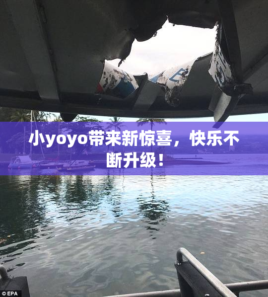 小yoyo带来新惊喜，快乐不断升级！