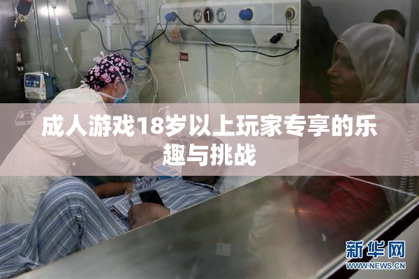 成人游戏18岁以上玩家专享的乐趣与挑战
