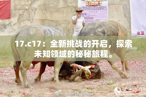 17.c17：全新挑战的开启，探索未知领域的秘秘旅程。