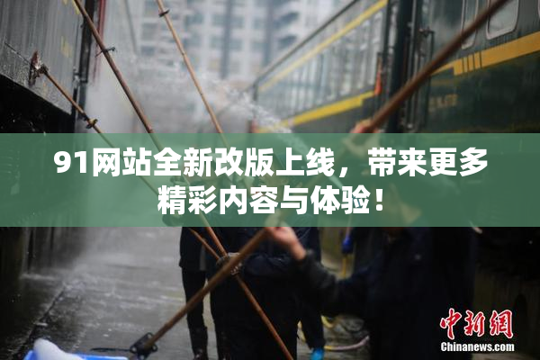 91网站全新改版上线，带来更多精彩内容与体验！