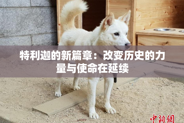 特利迦的新篇章：改变历史的力量与使命在延续