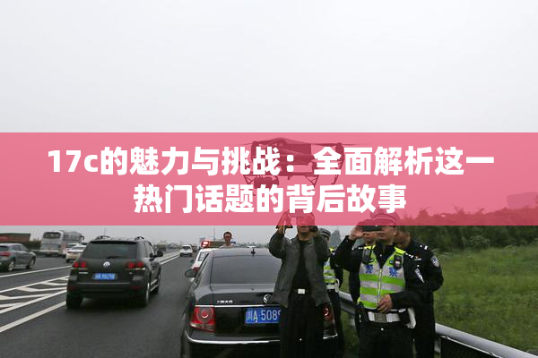 17c的魅力与挑战：全面解析这一热门话题的背后故事