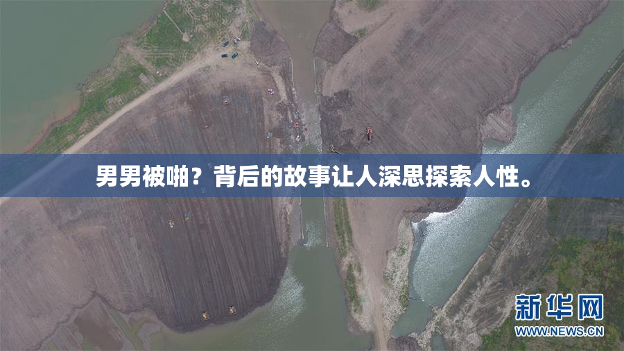 男男被啪？背后的故事让人深思探索人性。