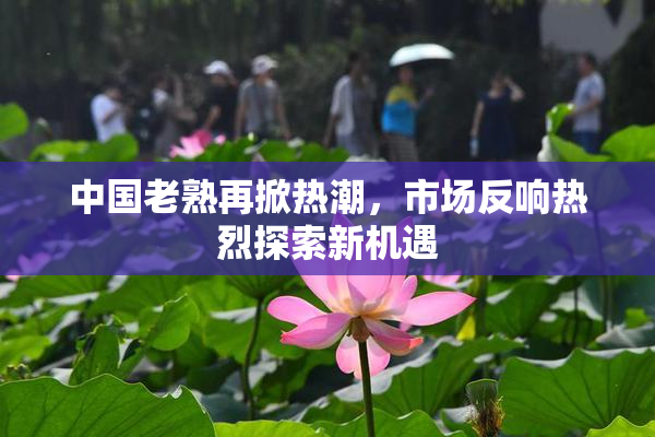 中国老熟再掀热潮，市场反响热烈探索新机遇