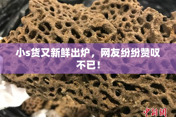 小s货又新鲜出炉，网友纷纷赞叹不已！