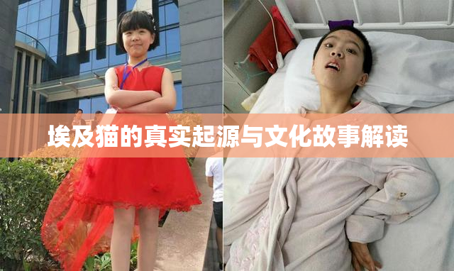 埃及猫的真实起源与文化故事解读