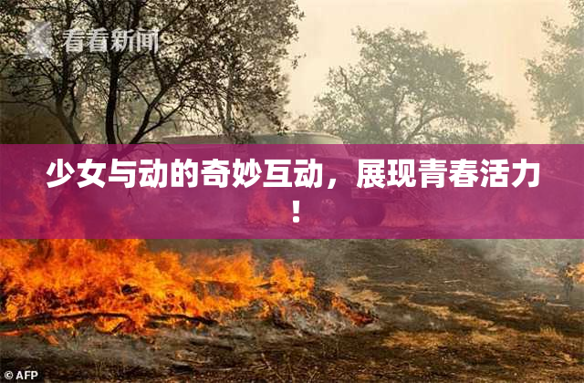 少女与动的奇妙互动，展现青春活力！