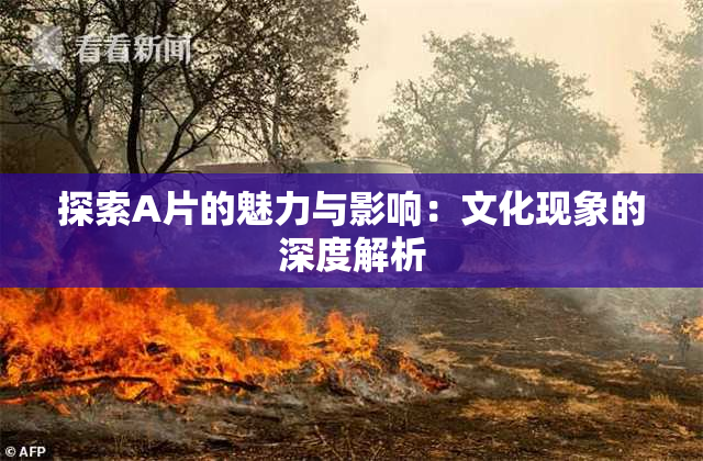 探索A片的魅力与影响：文化现象的深度解析