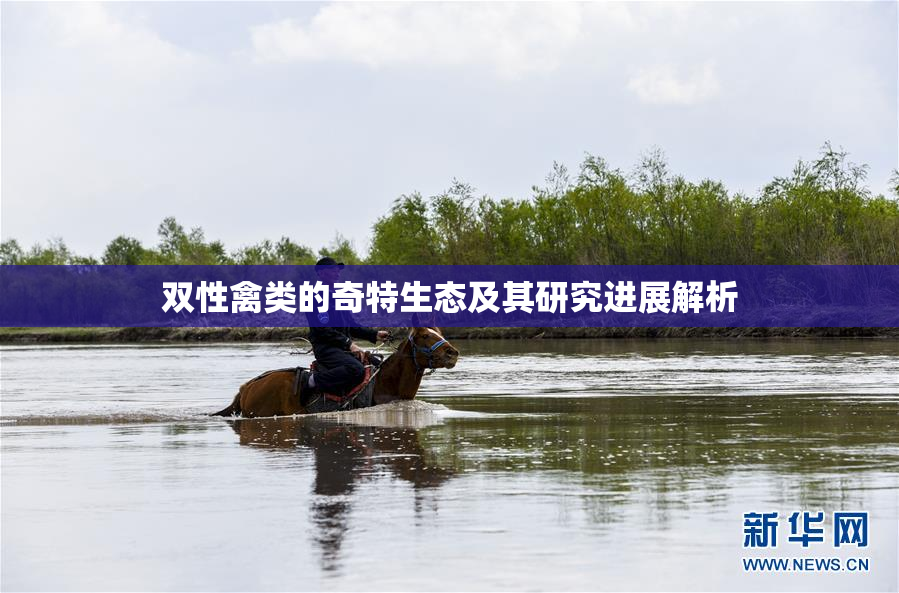 双性禽类的奇特生态及其研究进展解析