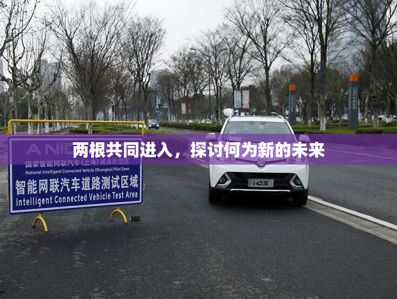 两根共同进入，探讨何为新的未来