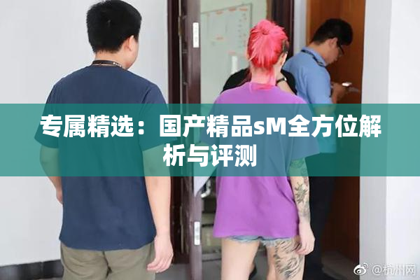 专属精选：国产精品sM全方位解析与评测