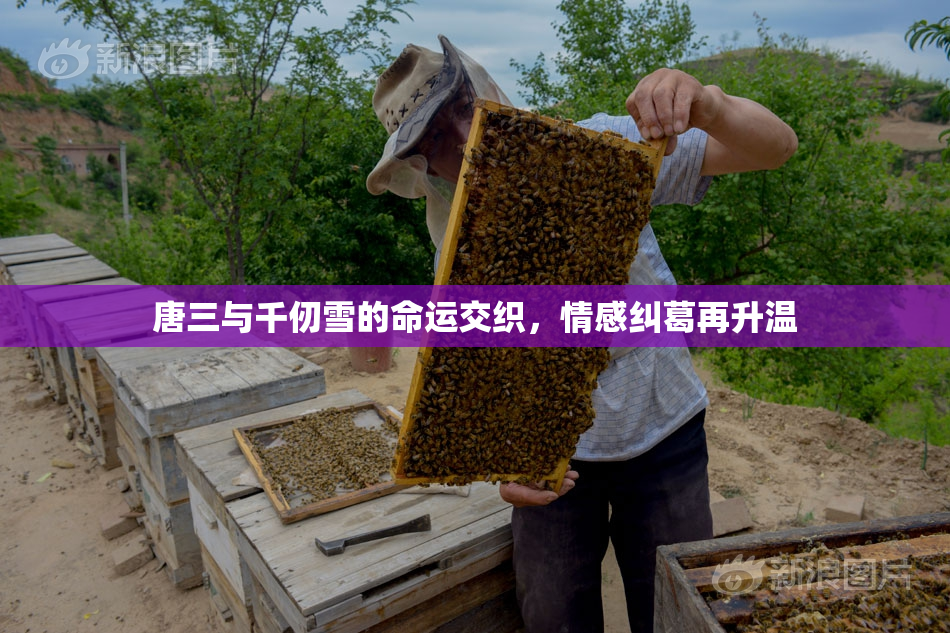 唐三与千仞雪的命运交织，情感纠葛再升温