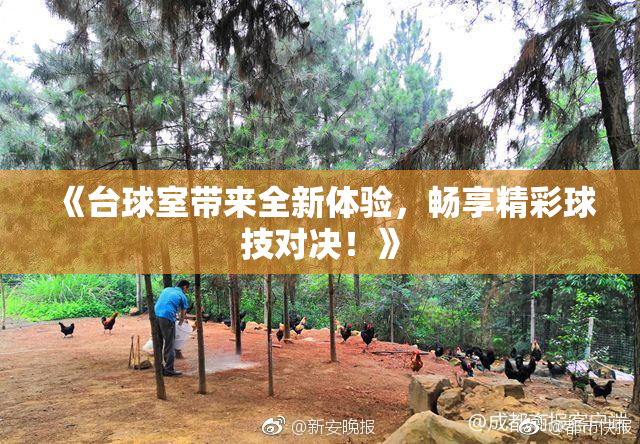 《台球室带来全新体验，畅享精彩球技对决！》
