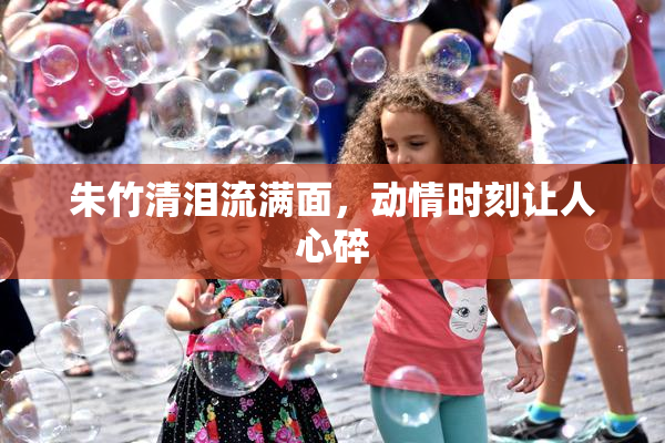朱竹清泪流满面，动情时刻让人心碎