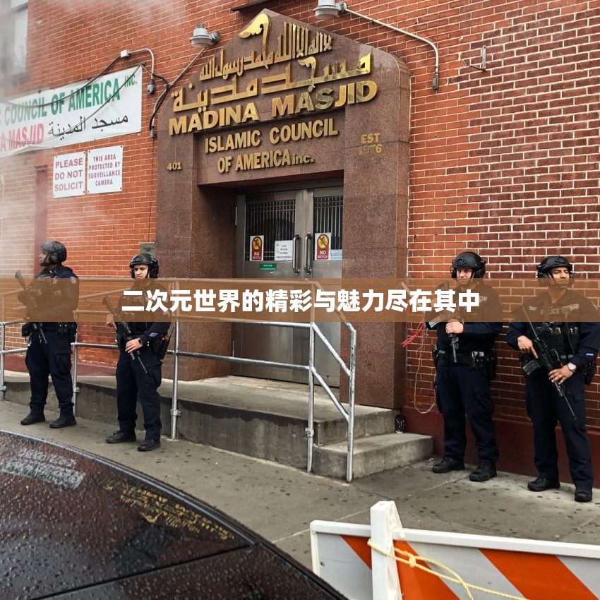二次元世界的精彩与魅力尽在其中