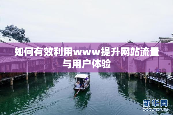 如何有效利用www提升网站流量与用户体验