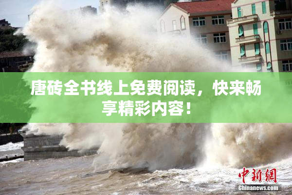 唐砖全书线上免费阅读，快来畅享精彩内容！